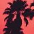 Sunset Silhouette Cruise Warm Analog Chillwave Drive Endless Summer Ghosts