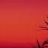 FREE Post Malone Type Beat Vital
