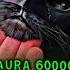 Best Aura Moments
