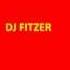 DJ Fitzer My Time Is Now Original Mix