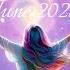 CAPRICORN JUNE 2025 RAISING ABOVE LIMITATIONS GAINING CLARITY