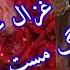 Ghazal Enayat New Song 2020 Namehraban نامهربان