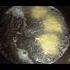 Hehehe Food Craving Cooking HiTechIslamic Palwashascookingchannel1730