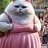 A Fat Cat Mocked By Friends For Being Fatty Story Animals Cat Shorts