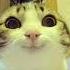 I Am Going To Kill Your Family 3 THIS IS NOT A JOKE Hehe