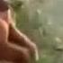 Jeno Neto Dancing Gorilla