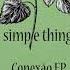 Arthus Cratozolo Shyam Remix Simple Things Records