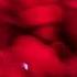 𝐬𝐭𝐫𝐞𝐞𝐭𝐬 𝐱 𝐧𝐞𝐞𝐝𝐞𝐝 𝐦𝐞 Doja Cat Rihanna 𝐬𝐩𝐞𝐝 𝐮𝐩 𝐫𝐞𝐯𝐞𝐫𝐛