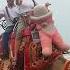 Life With Sri Lalmohan Babu Moment From Sonar Kella Movie Camel Ride At Puri Beach