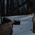 STALKER Охота за артефактами 2 серия