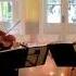 Wedding String Quartet Canon In D Best Version Johann Pachelbel