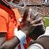 The REAL Story Behind Shedeur Sanders 1st Team Reps