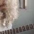 Mateus Asato Classic T 2023 Clean Sounds