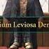 Harry Potter Hogwarts Mystery Slytherin Learning Wingardium Leviosa Harrypottergameplay Harrypot