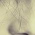 Hayit Murat Morrison Original Mix The Best Music