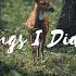 The Things I Didnt Say Adeline Hill Lyrics