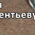 РАЗВИВАЮЩИЕ ЛИЧНОСТЬ НОВЫЕ ТЕМЫ ИДЕИ по И Л ВИКЕНТЬЕВУ Часть I