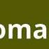 What Is The Meaning Of Theomaniac