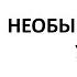 Старик Хоттабыч Глава 1 НЕОБЫКНОВЕННОЕ УТРО Лазарь ЛАГИН