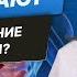 За что отвечают внутренние органы по системе Су Джок