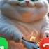 Carmine Calling Ringtone Calling Foryou Cutecat Viral Youtube Youtubeshorts Kitten New