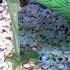 Woodturning Confetti Extravaganza