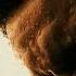 The Weeknd Justice Wake Me Up Dolby Atmos