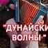 Бабушке сыграла Дунайские волны гармонь баян баянист Accordion топ вальс топбаянист