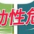 美国经济观察 流动性危机 美债日债 战国时代 姜汁汽水