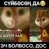 канал для всех мейли жаным суйбосонда дом болуп кал