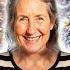 Seniors Chia Vs Flax For Seniors The Super Seed Showdown You Didn T See Coming Barbara O Neill
