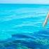 Deep Mood Radio 24 7 Live Radio Best Relax House Chillout Study Running Gym Happy Music
