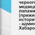 Край нашенский Выставка презентация посвященная Хабаровскому краю