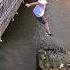 Jumping On The Crocodile S Back