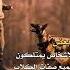ستوريات اجمل حلات وتساب موسيقى حزينه حلات فراق وحب