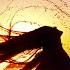 3 HOURS Ambient Chillout Mix Relaxing Wonderful Music Mixed Composed By Jjos