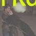 Do Pal Karaoke Veer Zaara Lata Mangeshkar Sonu Nigam Shah Rukh Khan Preity Zinta Karaoke Ume