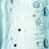 Cell Devision Mitosis Human Cells Shorts Video Education Viral Subscribe