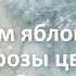 АХ НОЧЬ ГОЛУБАЯ НОЧЬ ПОЁМ ВМЕСТЕ