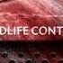 Wildlife Control Analog Or Digital LYRAH Remix