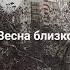 Стаи птиц Утро Екатеринбург Весна близко