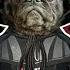 Imperial March Animal Cover