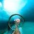 Shark Tunnel Waterslide In The Bahamas Shorts