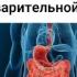 Государственный курс по Аюрведе 2018 г Суботялов М А
