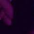 Chase Atlantic Right Here 8d Audio