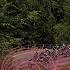 Giro D Italia 2025 Stage 20 Highlights