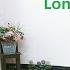 Lonely If You Are Line Dance Easy Intermediate Demo