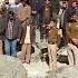 IPS OFFICER Sh Sanam Dubkey Negi क आज भ व भ न श रद जल द गई News