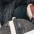 Geysa Danheim Album 2021 Viking Folk Nordic Music