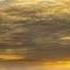 Vangelis Missing